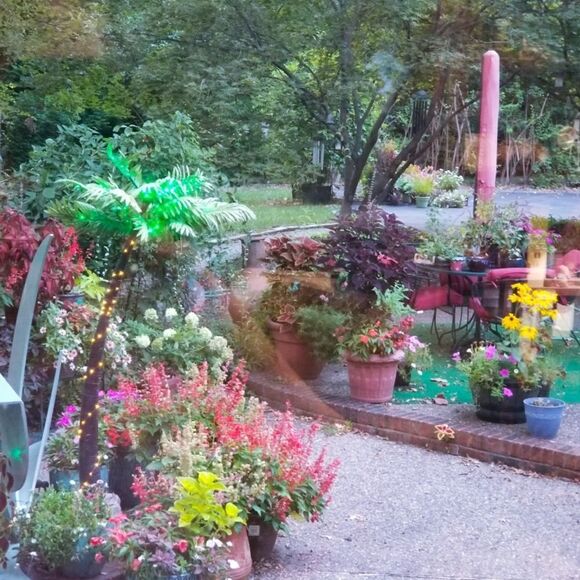 Other - Vibrant Outdoor Potted Plant Collection!!!  MY SPRING TIME PATIO!!!